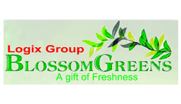 Logix group bloosom green